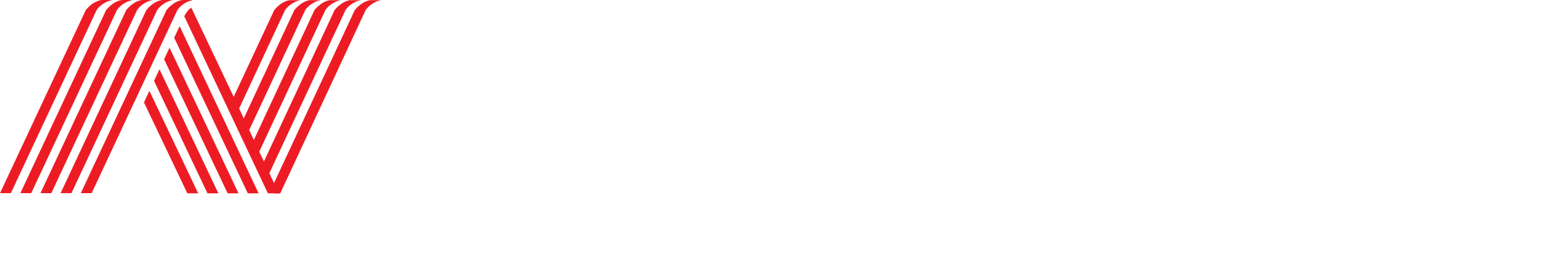 نانکنگ — NANKANG TYRES