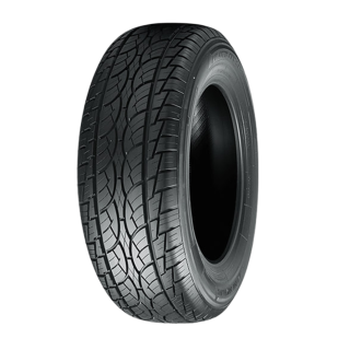 لاستیک 215/65R16 نانکنگ AS-1